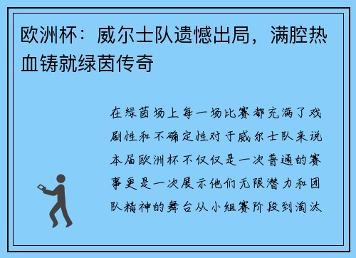 欧洲杯：威尔士队遗憾出局，满腔热血铸就绿茵传奇
