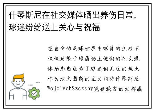 什琴斯尼在社交媒体晒出养伤日常，球迷纷纷送上关心与祝福